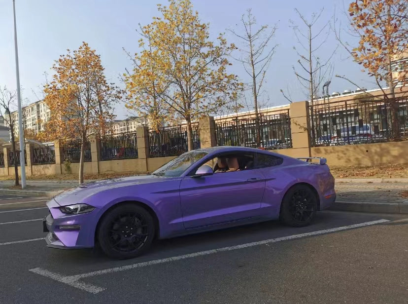 Talking about the Ford Mustang Mach 1