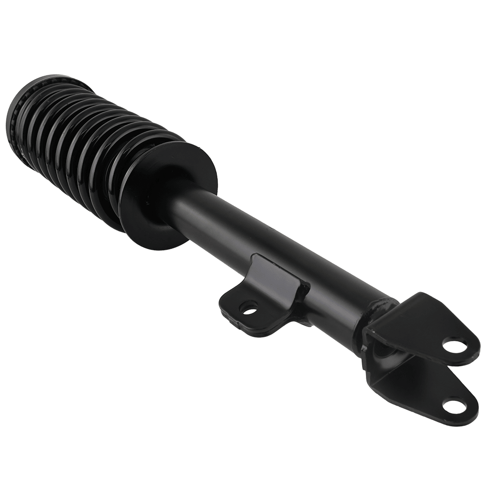 Dodge Charger 2006 - 2010 Front Strut Assembly w/ Coil Spring