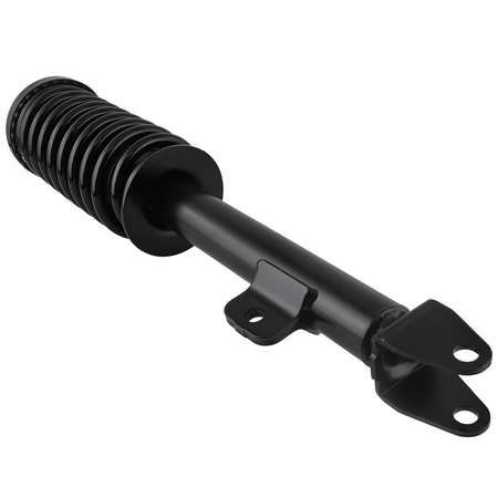 Dodge Charger 2006 - 2010 Front Strut Assembly w/ Coil Spring