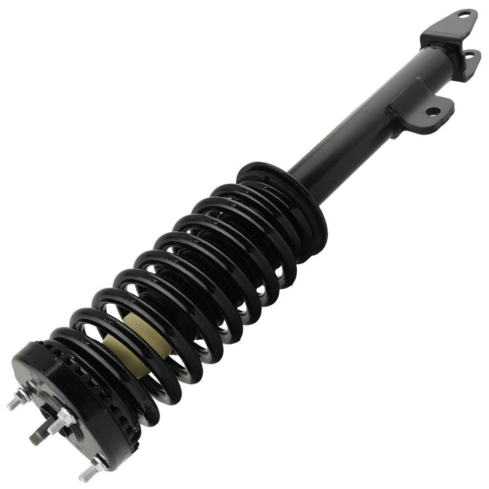 Dodge Charger 2006 - 2010 Front Strut Assembly w/ Coil Spring