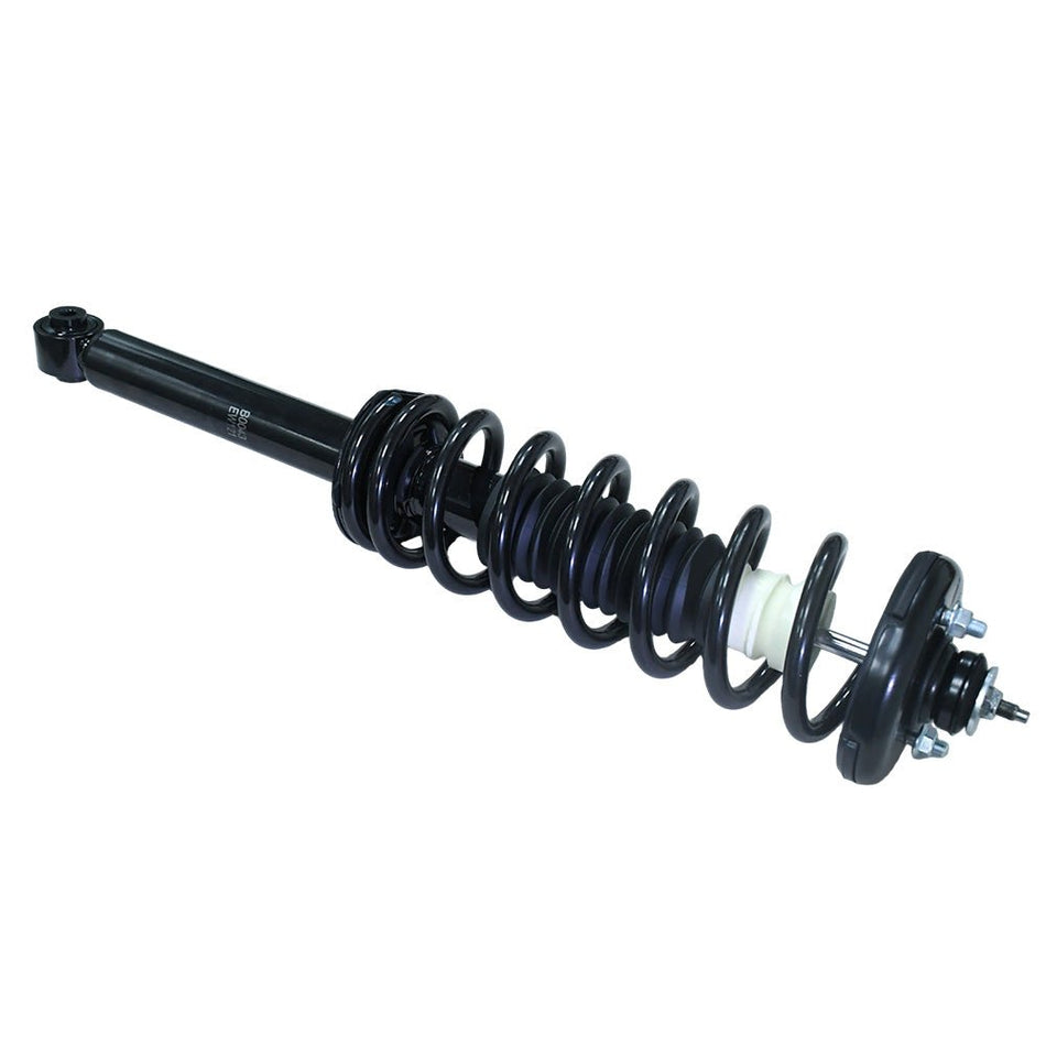 Honda Accord Acura TL 2004 - 2007 Rear Struts Coil Spring Pair