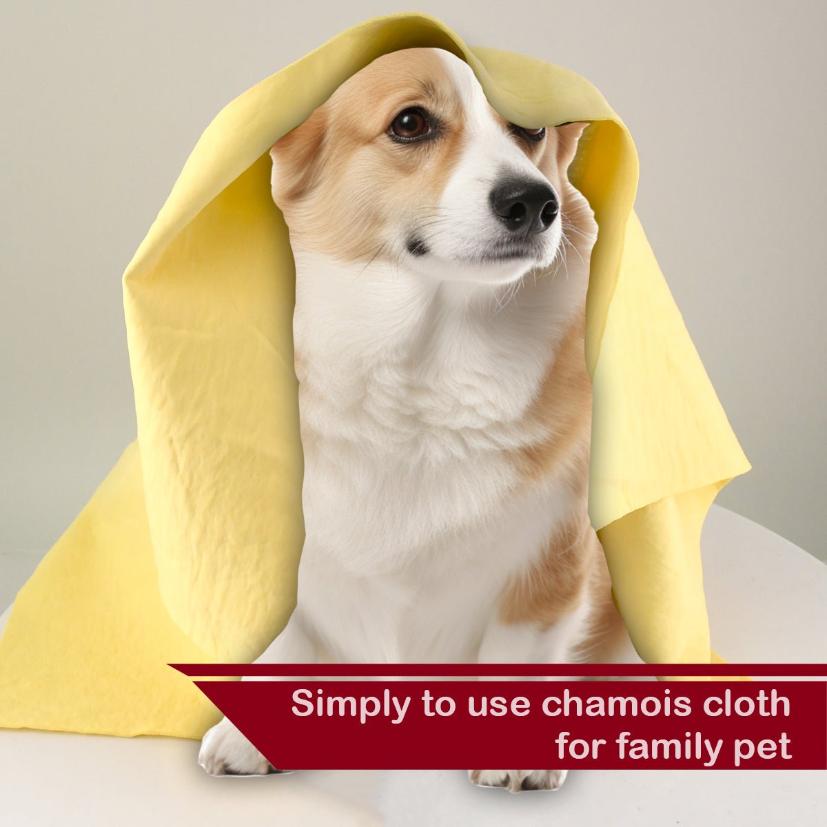 Premium 26x17" PVA Chamois Car Towel | Professional Detailing Kit