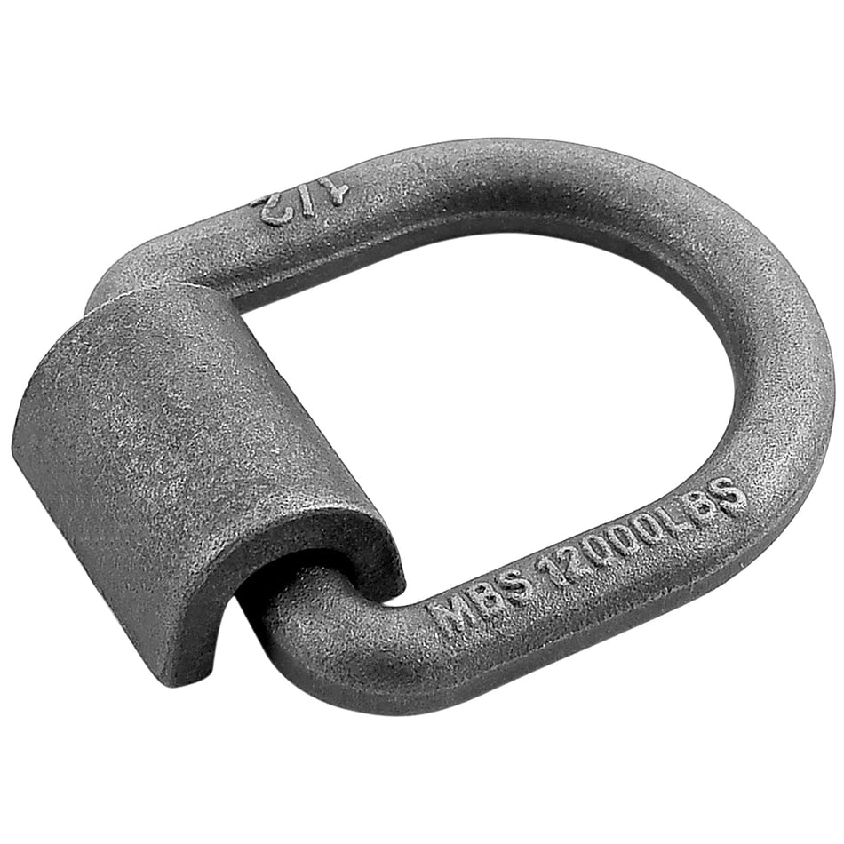 Robbor 1/2 Inch Forged D - ring With Weld - on Bracket